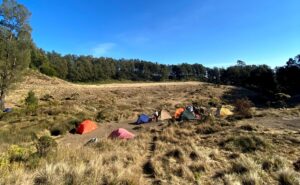 Menikmati Pesona Gunung Buthak: Tantangan dan Keindahan bagi Para Pendaki