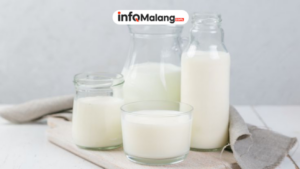 Susu Sae Pujon Malang: Wisata Edukasi Susu di Tengah Alam Malang