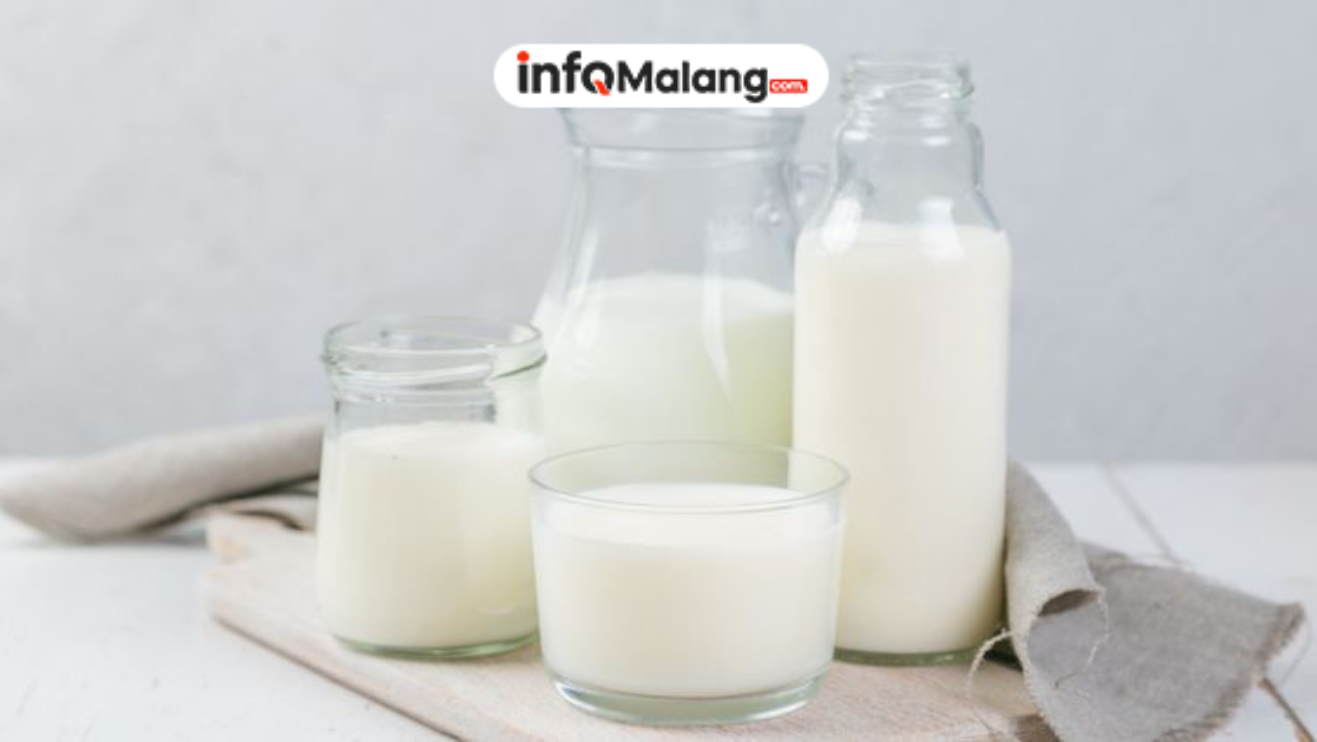 Susu Sae Pujon Malang: Wisata Edukasi Susu di Tengah Alam Malang