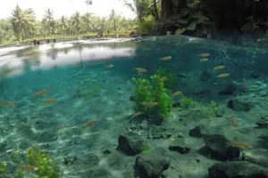 Rekomendasi Wisata Sumber Air di Kabupaten Malang