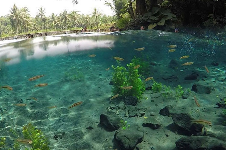 Rekomendasi Wisata Sumber Air di Kabupaten Malang
