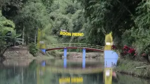 Desa Wisata Sanankerto, Keindahan Hutan Bambu yang Menenangkan di Malang