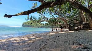 Optimalisasi Wisata Malang Selatan, Pemkab Malang Tingkatkan Infrastruktur dan Kerja Sama dengan Perhutani