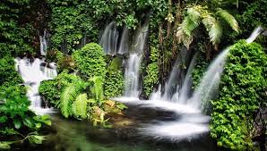 Pesona Air Terjun Sumber Pitu, Keajaiban Alam Tersembunyi di Malang
