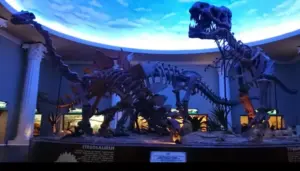 Museum Satwa Batu, Destinasi Edukatif untuk Liburan Keluarga