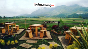 Cafe Sawah Pujon: Ulasan, Jam Buka, dan Akses Menuju Lokasi
