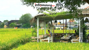 Cafe Sawah Pujon, Destinasi Wisata Yang Tak Pernah Luntur Keindahanya