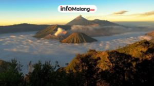 Nikmati Suasana Cozy dan Menu Lezat di OR Traffic Malang