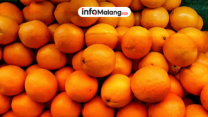 Bu Risma Ajak Warga Malang Cintai Produk Lokal Lewat Jeruk Malang