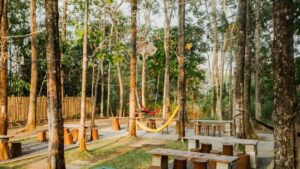 10 Cafe Hits di Malang yang Wajib Dikunjungi, Cocok untuk WFC & Nongkrong!