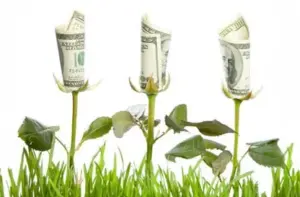 Selandia Baru Turunkan Bunga, Indonesia Malah…?