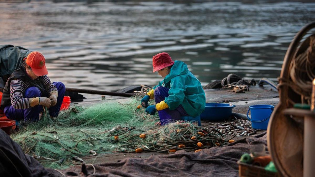 Nelayan Cirebon Temukan Harta Karun Miliaran Rupiah!