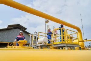 PTBA dan PGAS: Revolusi Energi di Ujung Tanduk!