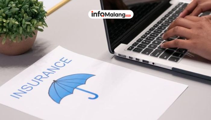 Asing Ramai-Ramai Kuasai Asuransi Indonesia! Bahaya atau Berkah?