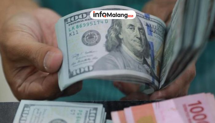 Dolar Terjungkal! Investor Berebut Mata Uang Ini!