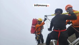 Guncangan di Puncak! Bos Besar INDY dan ASII Bergeser!