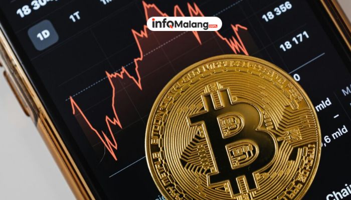 Kripto Indonesia: Boom atau Bust? Jawabannya di Sini!