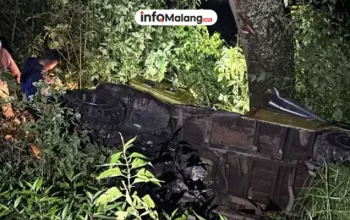 Tragedi di Jalur Bromo: Land Cruiser Masuk Jurang, Delapan Wisatawan Luka-Luka