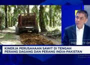 Rahasia Bos Sawit Hadapi Badai Ekonomi Global!