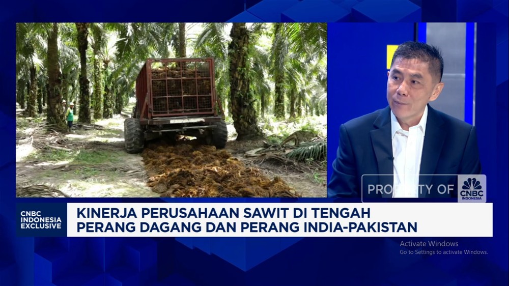 Rahasia Bos Sawit Hadapi Badai Ekonomi Global!