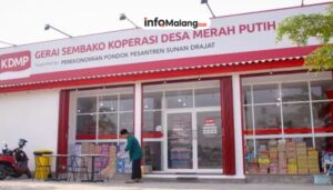 Aset Rp 2,8 M: Koperasi Merah Putih Malang Kian Perkuat Distribusi Pertanian