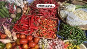 Harga Pangan Jatim 31 Juli 2025, Bawang Merah Jadi Sorotan dengan Kenaikan Harga super mahal