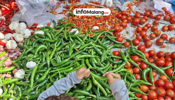 Harga Sembako Kota Batu Goyang: Cabai Besar Melambung, Tomat Terjun Bebas!