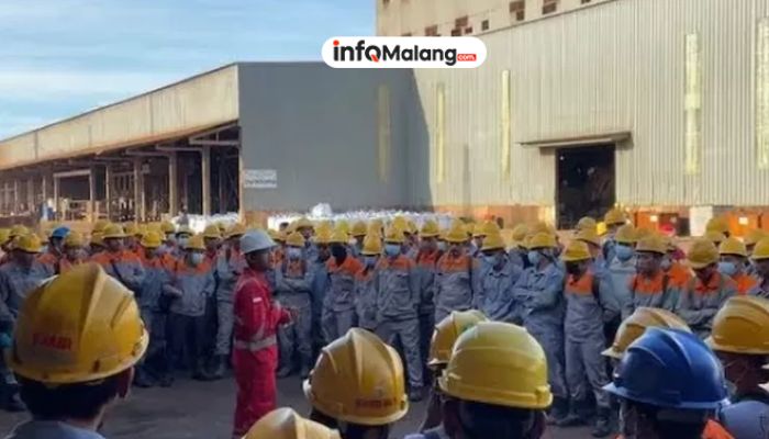 Indonesia di Ambang Krisis Tenaga Kerja: Tanda-Tandanya Makin Jelas Mulai Februari 2025