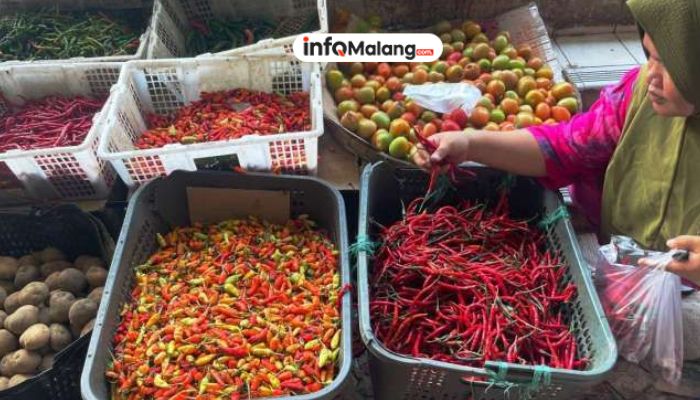 Inflasi Juni 2025 Dipicu Kenaikan Harga Pangan