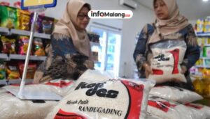 Koperasi Randugading: Aset Rp 2,8 M, Jadi Percontohan Nasional!