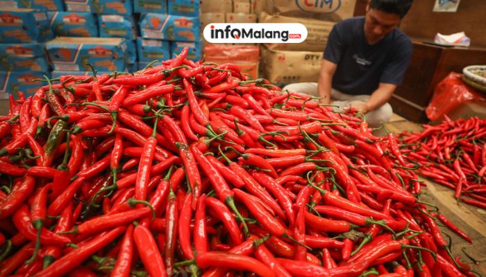 Kota Malang Sukses Kendalikan Inflasi Selama Juni 2025