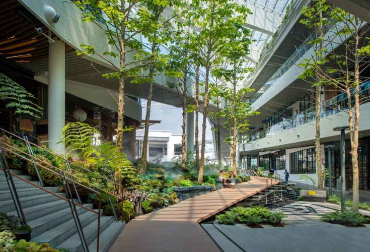 Kuliner Pimpin Belanja! Mal Malang Andalkan F&B Tingkatkan Omzet.