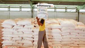 Pupuk Indonesia Dukung Ketahanan Pangan, Salurkan Bibit Sayuran di Ruteng NTT yang diadakan Rabu (16/7)