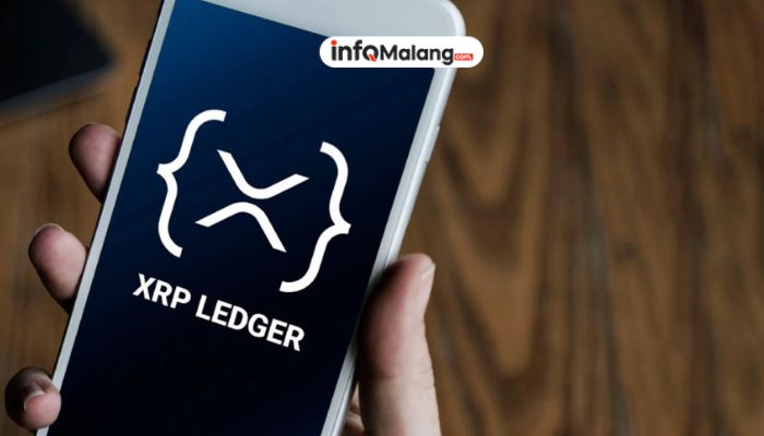 XRP Tembus Rekor Tertinggi, Investor Baru Jadi Pendorong Utama