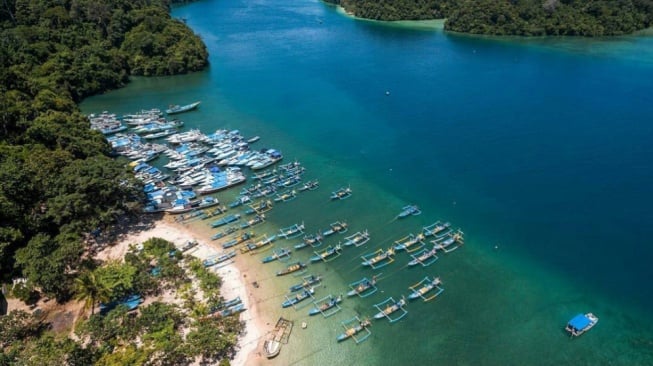 Mengenal Ekosistem Laut di Sekitar Pantai Sendang Biru