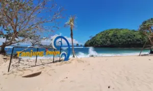 Rute dan Tips Berkunjung ke Pantai Penyu Malang