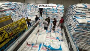Petani Donomulyo Paling Banyak, Kabupaten Malang Siap Salurkan 55.655 Ton Pupuk Subsidi