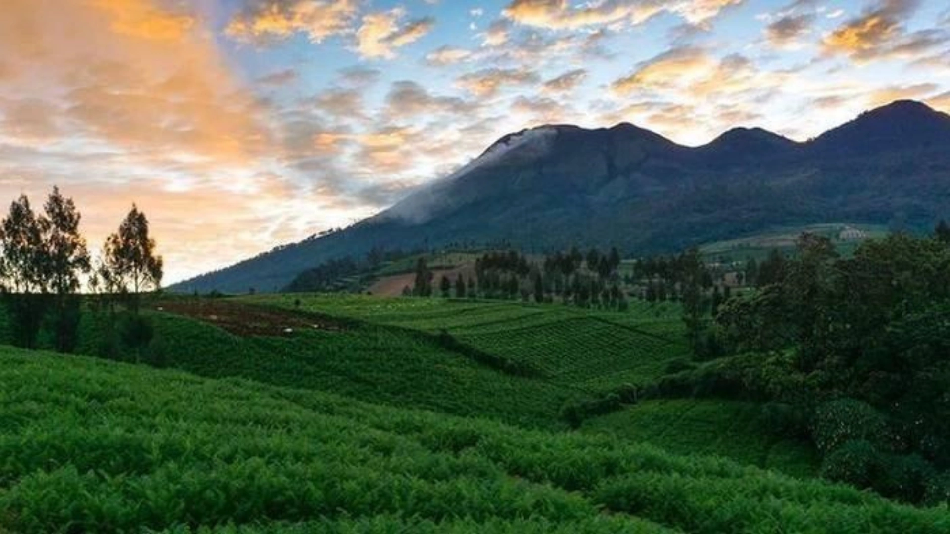 Wisata Alam Eksotis di Batu Malang, Menjelajahi Keindahan Alam Brakseng yang Viral