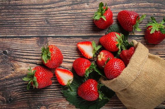 Wisata Petik Stroberi, Liburan dan Edukasi Pertanian