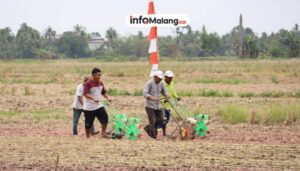 HKTI Ajak Petani Turen Tanam Padi Unggul, Upaya Tingkatkan Produksi Beras