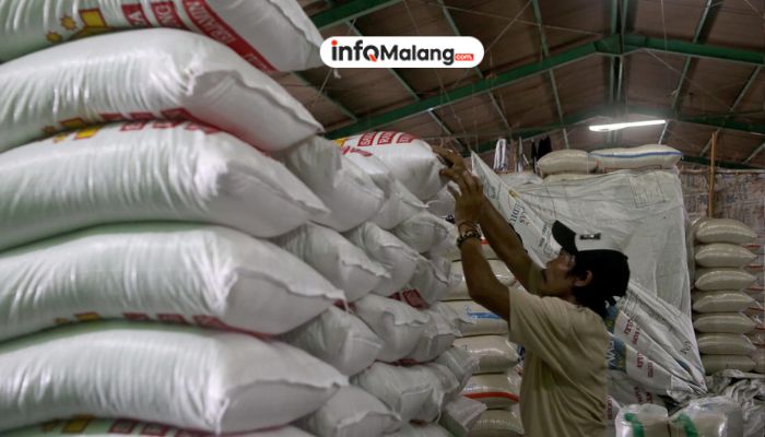 Harga Beras Tetap Melonjak di Tengah Panen Melimpah, Konsumen Indonesia Gelisah