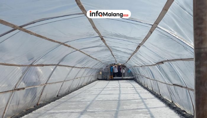 Inovasi Pemasaran Petani Garam Malang, Target Baru ke Sektor Peternakan