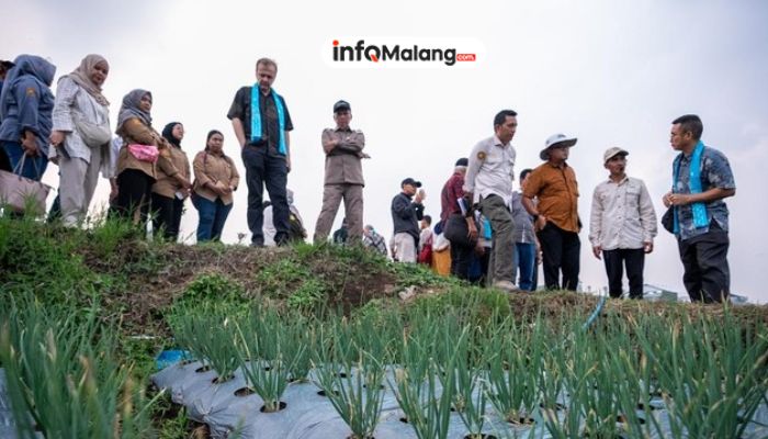 Perkuat Ketahanan Pangan Lokal, Program CBPD di Kabupaten Malang Berfokus pada Pemberdayaan Petani