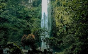 Air Terjun Paling Menakjubkan di Malang untuk Eksplorasi