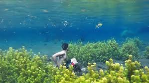 Sumber Sira Malang, Tempat Menyelam dan Menenangkan Diri