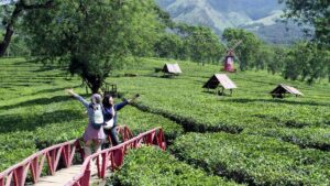 Anti-Kantong Jebol! 3 Wisata Sejuk di Kabupaten Malang untuk Healing Akhir Pekan