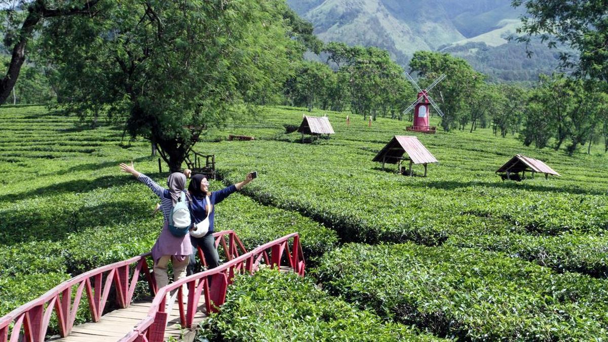 Anti-Kantong Jebol! 3 Wisata Sejuk di Kabupaten Malang untuk Healing Akhir Pekan