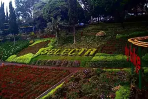 Beda Jauh! Harga Tiket Selecta Weekday vs Weekend, Mana yang Lebih Murah?