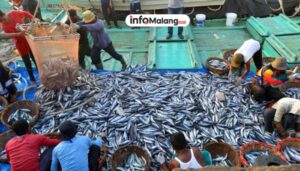 Preferensi Pembayaran PNBP oleh Nelayan Sendangbiru Menurut Data Dinas Perikanan