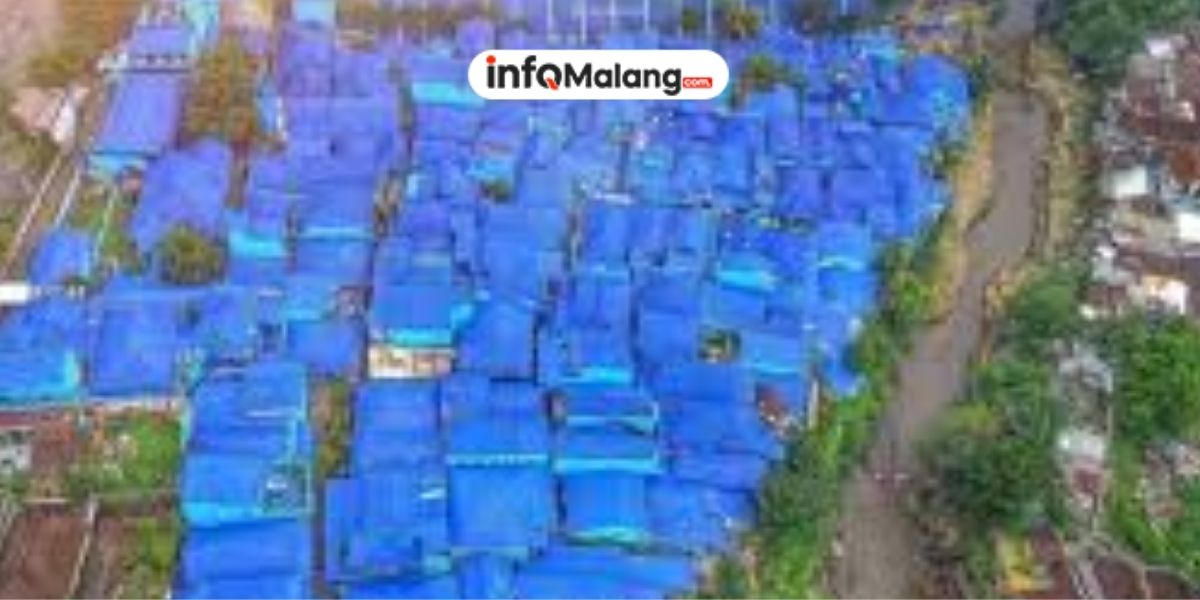 Biru Menggoda, Mengapa Kampung Biru Arema Malang Wajib Masuk Bucket List Wisata Anda